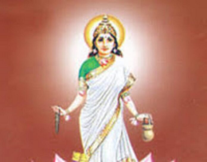 भक्तों के संकट हर लेती हैं दुर्गा, इन औषधियों में भी स्थित